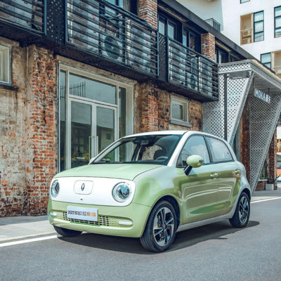 Batterie LFP de sièges des portes 4 de Cat Electric Vehicle 5 de noir de 301KM-405KM gw ORA
