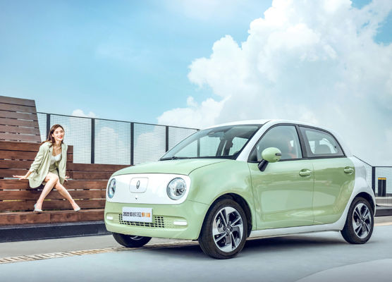 Batterie LFP de sièges des portes 4 de Cat Electric Vehicle 5 de noir de 301KM-405KM gw ORA
