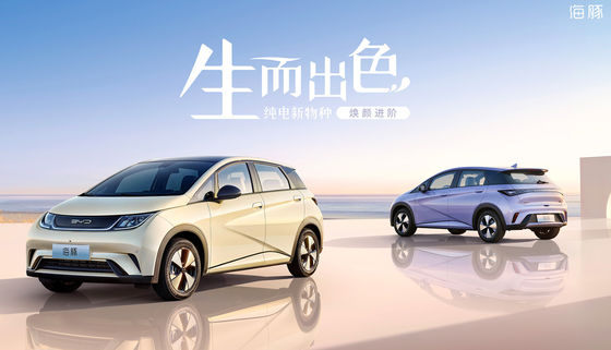 Mini Byd Dolphin Ev électrique pur 301-405KM 5 portes 5 sièges